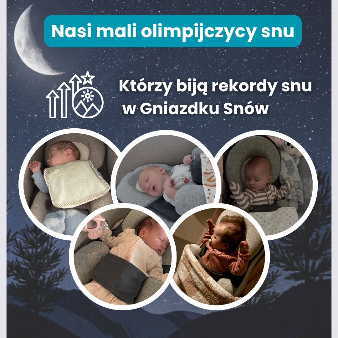 ZENDOLA Gniazdko Snów