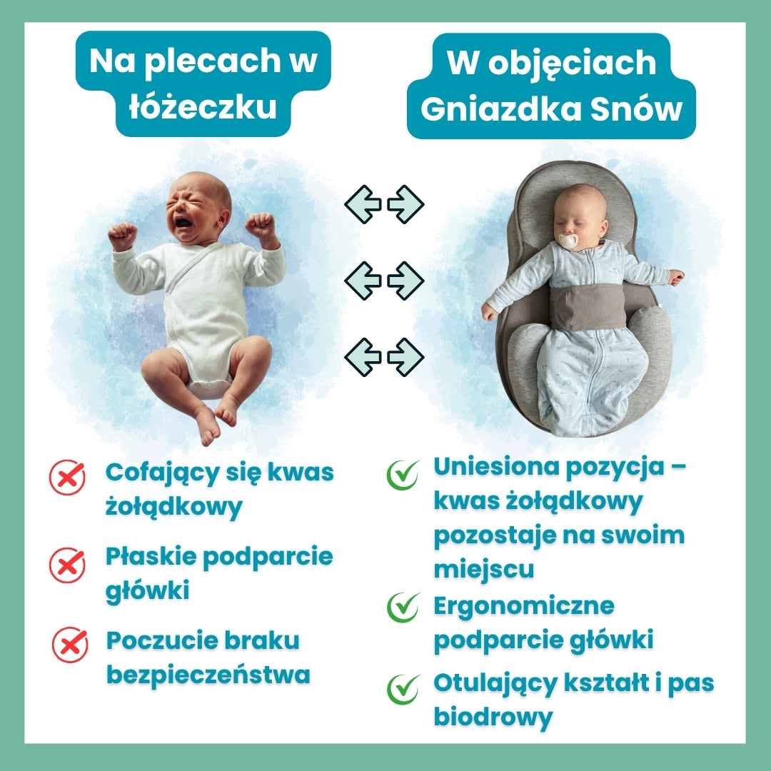ZENDOLA Gniazdko Snów