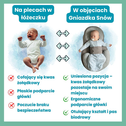 ZENDOLA Gniazdko Snów